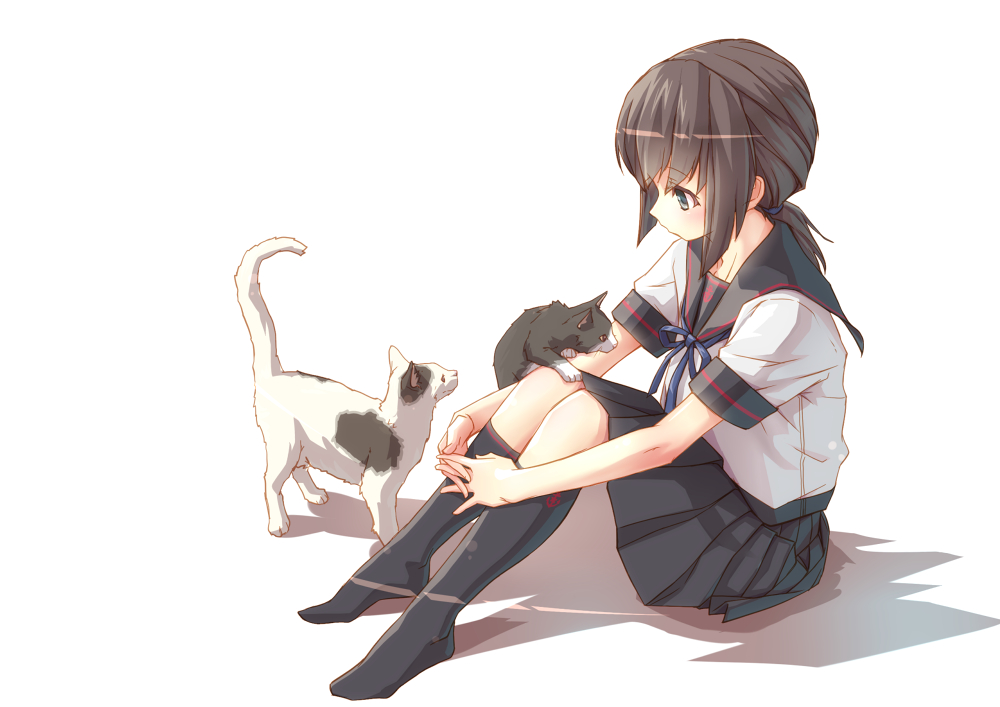 1girl, cat, fubuki_(kantai_collection), haiiro, kantai_collection, kneehighs, leg_hug, school_uniform
