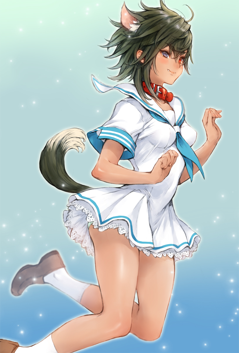 1girl, ahoge, animal_ears, black_eyes, black_hair, blue_eyes, blush, breasts, collar, deed_(lord_of_vermilion_iii), dog_ears, dog_tail, fang, green_panties, heterochromia, highres, loafers, looking_at_viewer, lord_of_vermilion, lord_of_vermilion_iii, makimura_shunsuke, panties, panty_peek, red_eyes, school_uniform, serafuku, shoes, short_hair, small_breasts, smile, solo, tail, underwear, white_legwear