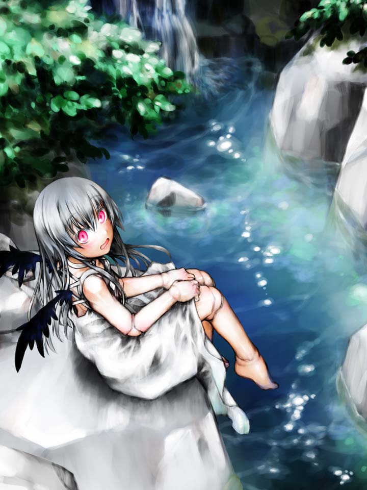 doll_joints, feet, from_above, kakashichi, long_hair, nature, pink_eyes, rozen_maiden, silver_hair, suigintou, water, wings