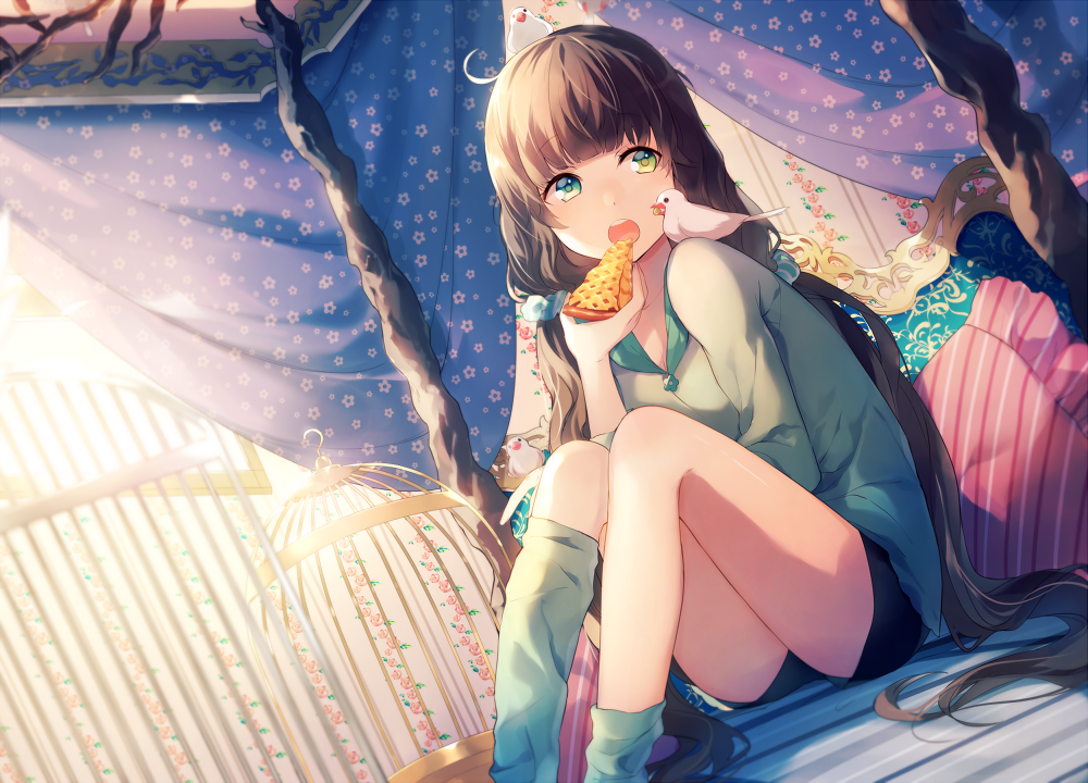 1girl, achiki, ahoge, bed, bent_knees, bird, brown_hair, cage, canopy_bed, dutch_angle, eating, food, green_eyes, heterochromia, java_sparrow, kneehighs, long_hair, open_mouth, original, pillow, pizza, shorts, sitting, solo, thighs, twintails, very_long_hair, yellow_eyes