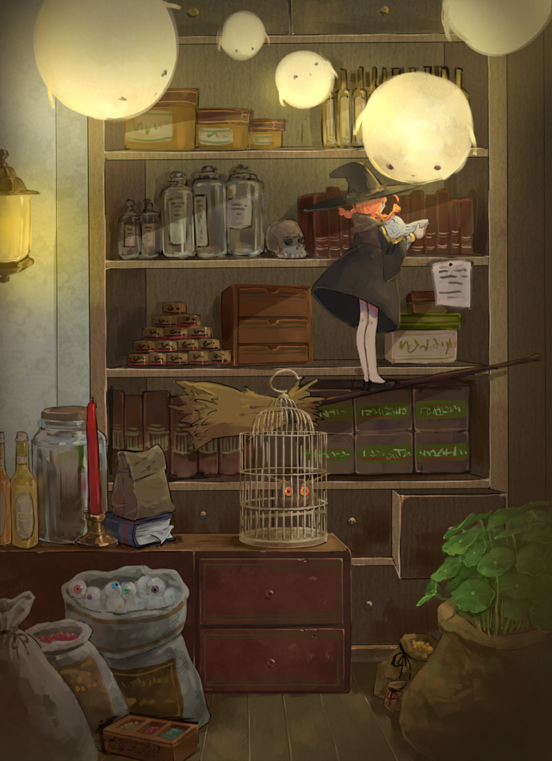 bird, book, bookshelf, bottle, braid, broom, broom_riding, broom_surfing