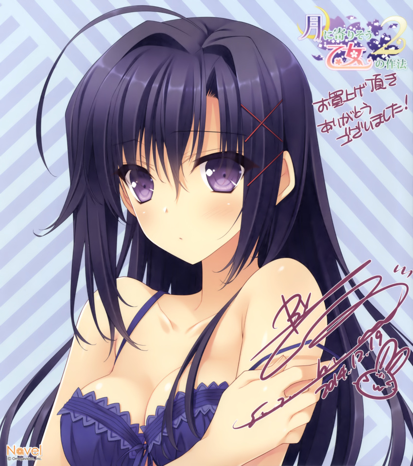 1girl, absurdres, ahoge, bare_shoulders, black_hair, blush, bra, breasts