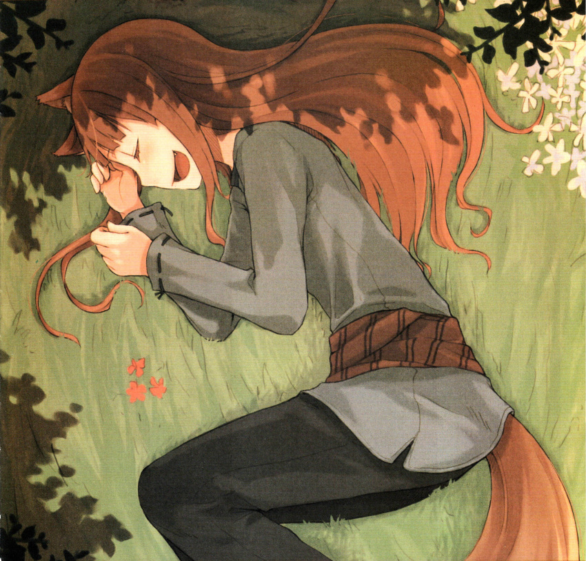 animal_ears, ayakura_juu, brown_hair, closed_eyes, fang, highres, holo, light_novel