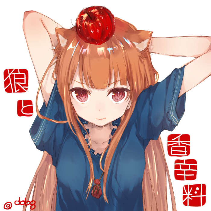 1girl, animal_ears, ao68, apple_on_head, arms_behind_head, brown_hair, fang, holo, long_hair, looking_at_viewer, pouch, red_apple, red_eyes, solo, spice_and_wolf, twitter_username, upper_body, very_long_hair, white_background, wide_sleeves, wolf_ears