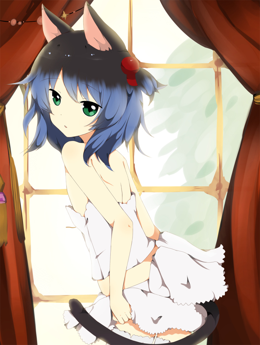 1boy, animal_ears, black_hair, blue_hair, cat_ears, cat_tail, from_behind, gradient_hair