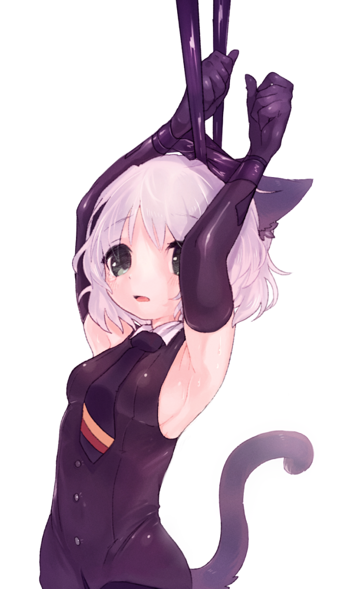 1girl, animal_ears, arms_up, black_gloves, black_legwear, blush, bound_arms, cat_ears