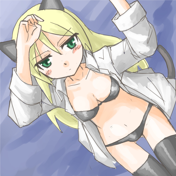 1girl, animal_ears, black_bra, black_legwear, blonde_hair, blush, bra, cat_ears