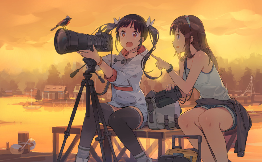 2girls, binoculars, bird, black_hair, blue_eyes, brand_name_imitation, brown_hair, camera, daurian_redstart, ddal, dock, highres, lake, long_hair, multiple_girls, open_mouth, original, red_eyes, revision, short_hair, shorts, skirt, sunset, symbol-shaped_pupils, thigh-highs, tripod, twintails