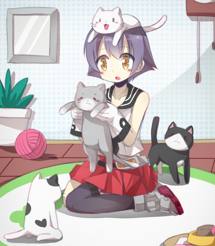 1girl, :o, amber_eyes, animal_on_head, batsubyou, blush, carpet, cat