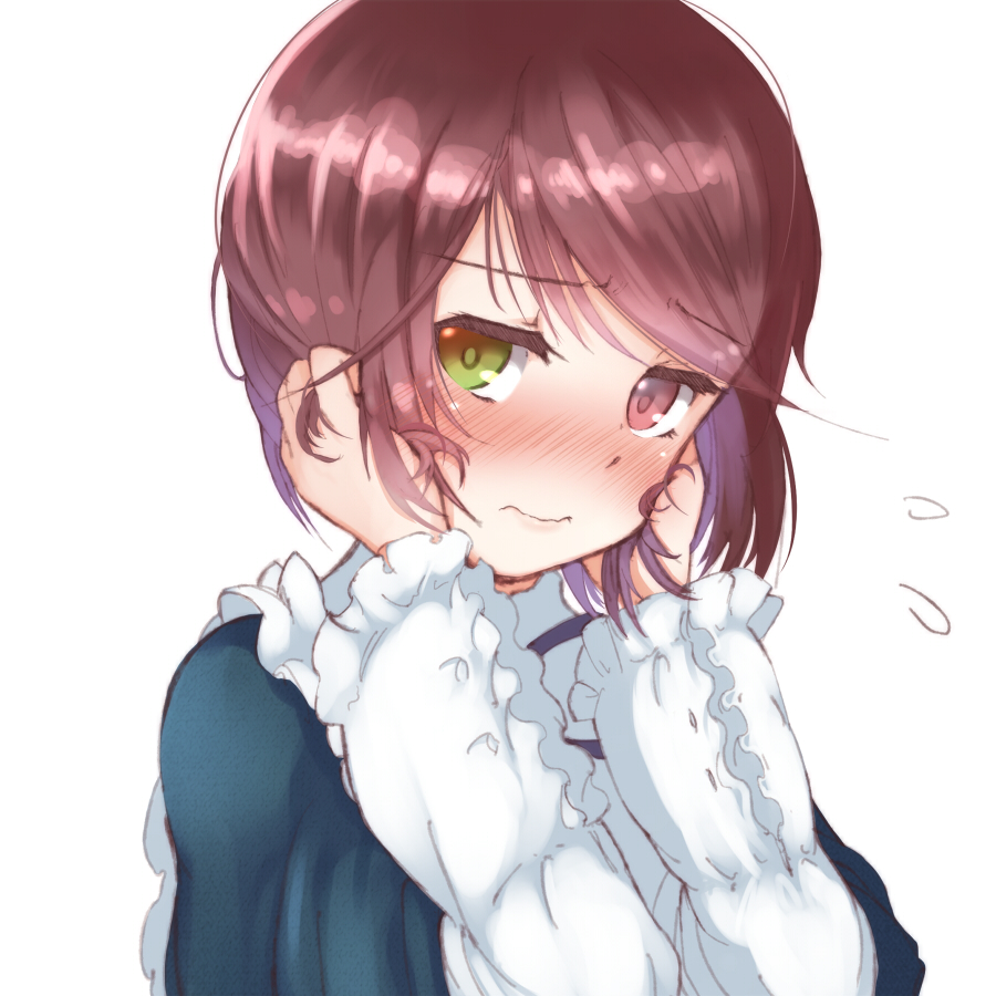 1girl, blush, brown_hair, green_eyes, heterochromia, red_eyes, rozen_maiden, shiro-inu