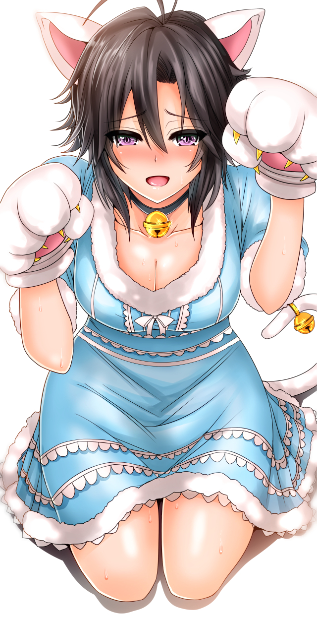 1girl, animal_ears, bell, bell_collar, black_hair, blue_dress, blush, breasts
