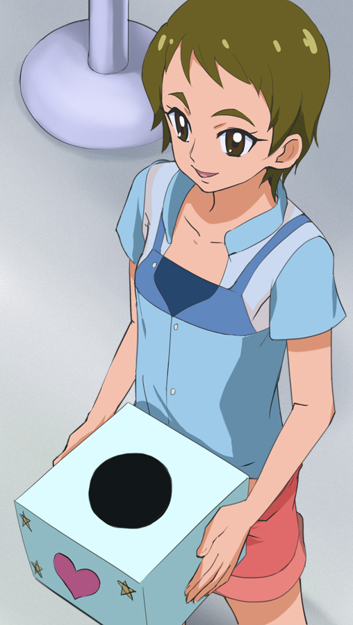 1girl, azuma_seira, box, brown_eyes, brown_hair, from_above, go!_princess_precure, haruyama_kazunori