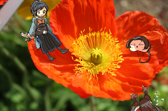3boys, blush, brown_hair, closed_eyes, flower, hakama, haori, izumi-no-kami_kanesada