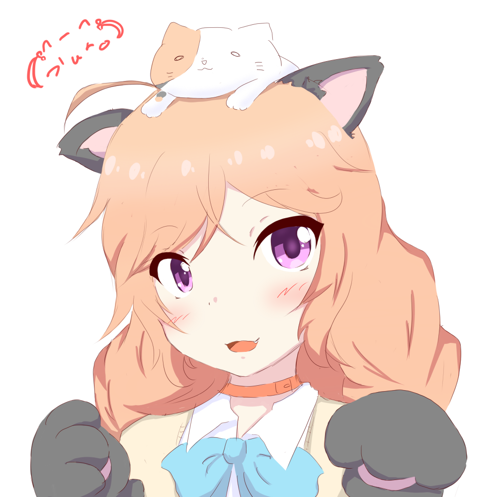 1girl, ahoge, animal_ears, blush, bow, bowtie, cat, cat_ears