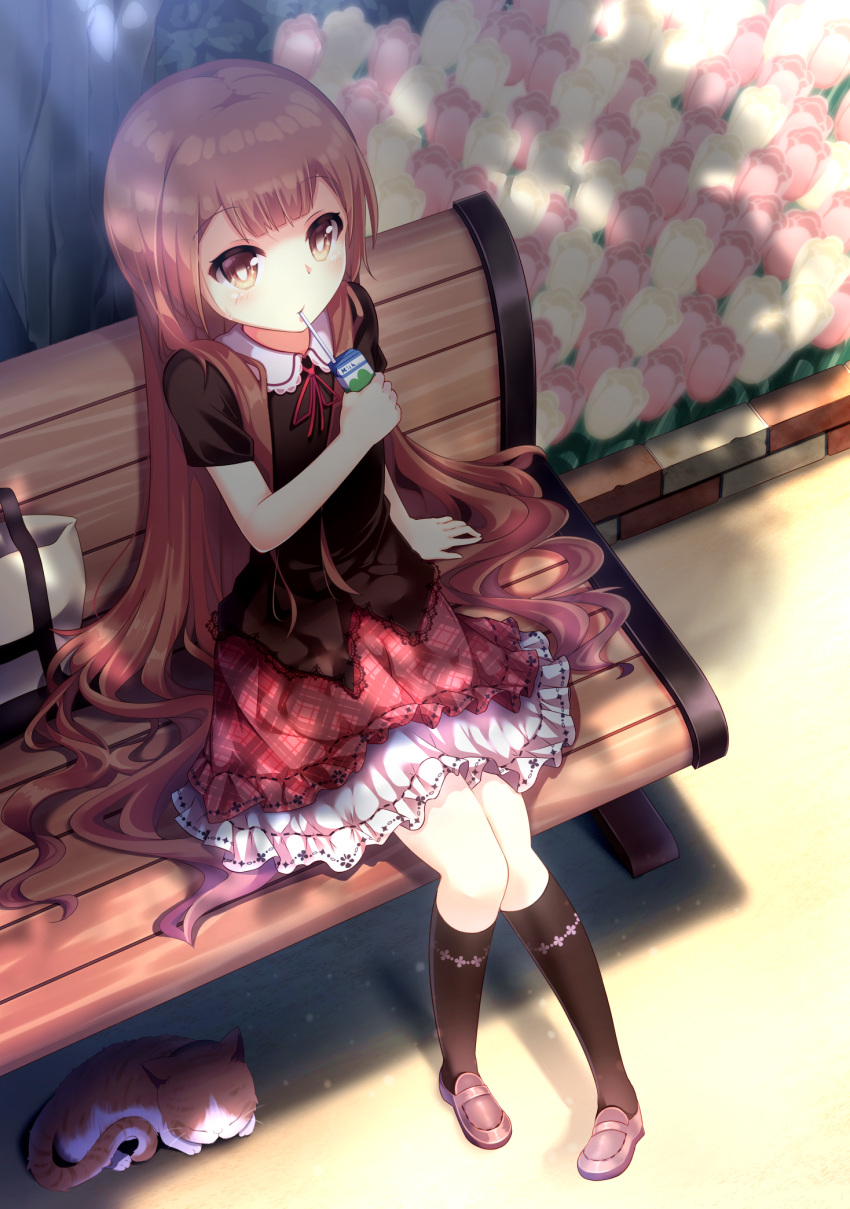1girl, bag, bench, black_legwear, brown_eyes, brown_hair, cat, dress