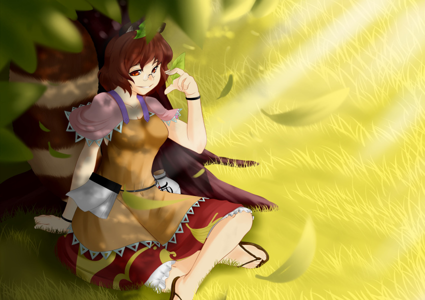 animal_ears, bloomers, commentary_request, futatsuiwa_mamizou, glasses, gourd, highres, kasu-pan