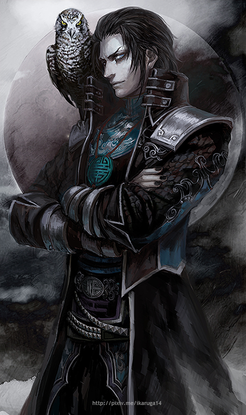 1boy, bird, black_hair, blue_eyes, jia_chong, moon, nail_polish, shin_sangoku_musou, solo, sun_dou