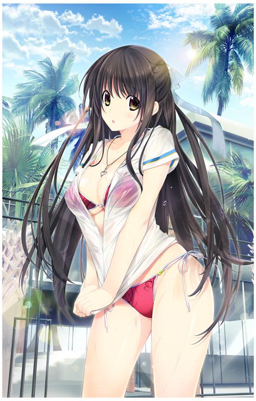1girl, bikini, black_hair, breasts, brown_eyes, cleavage, contrapposto, hair_ribbon