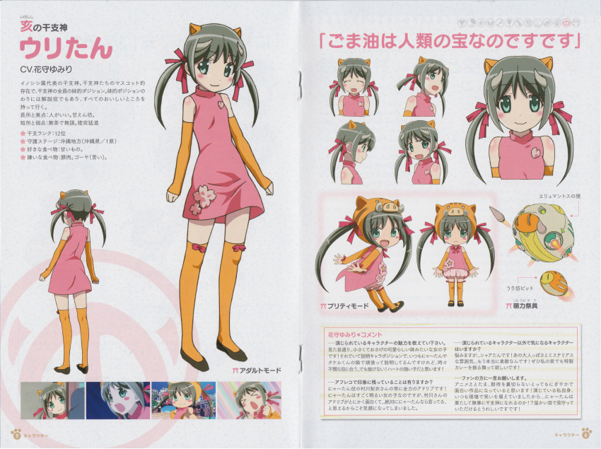 character_sheet, etotama, female, high_resolution, koike_satoshi, large_filesize, official_art, scan, solo, takahashi_asami, uri-tan, very_high_resolution
