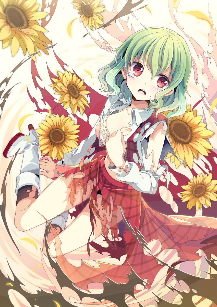 boroe, dress, fruit_punch, highres, kazami_yuuka, pantyhose, shirt, skirt