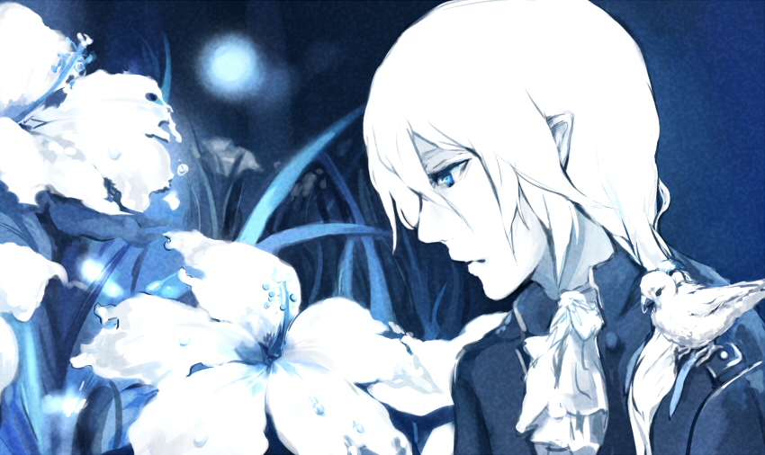 1boy, animal_on_shoulder, bird_on_shoulder, blue, blue_eyes, expressionless, face, flower