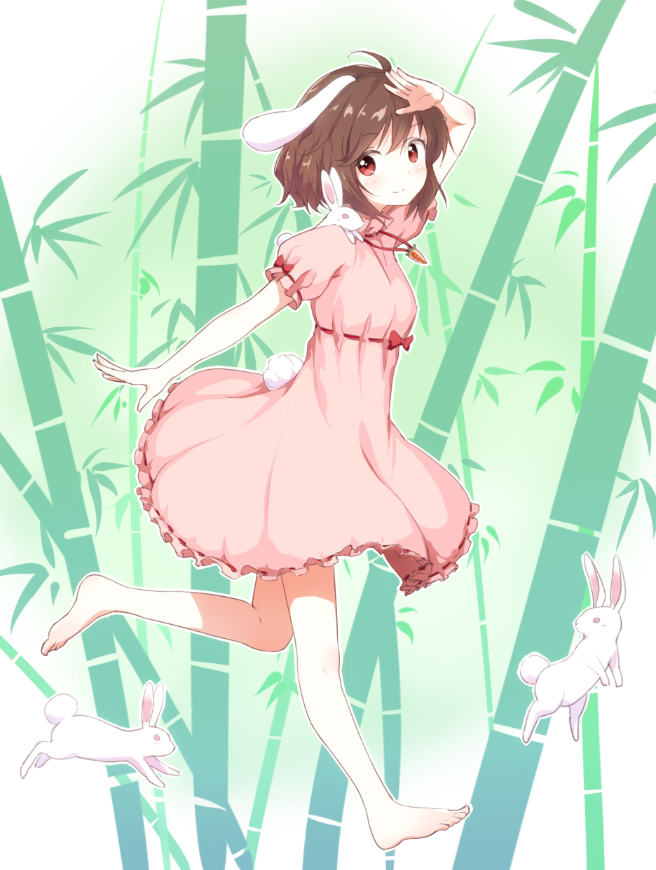 1girl, animal, animal_ears, arm_up, bamboo, bamboo_forest, barefoot, blush