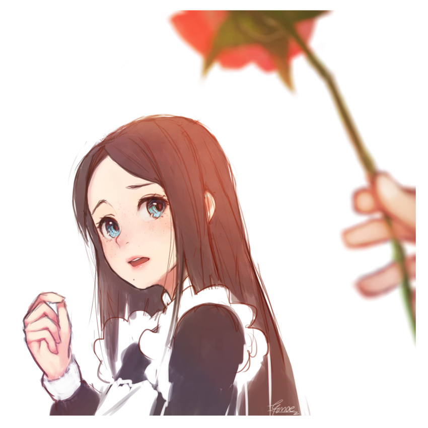 1girl, black_hair, blue_eyes, blurry, efmoe, flower, highres, long_hair