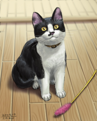 2006, cat, cat_teaser, collar, looking_at_viewer, lowres, matataku, monita_(matataku)