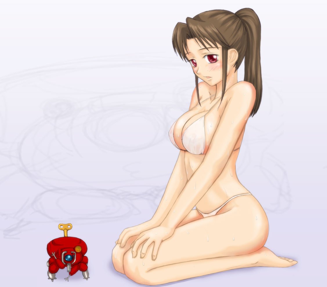 bikini, blush, breasts, brown_hair, cleavage, feet, fuchikoma, ghost_in_the_shell