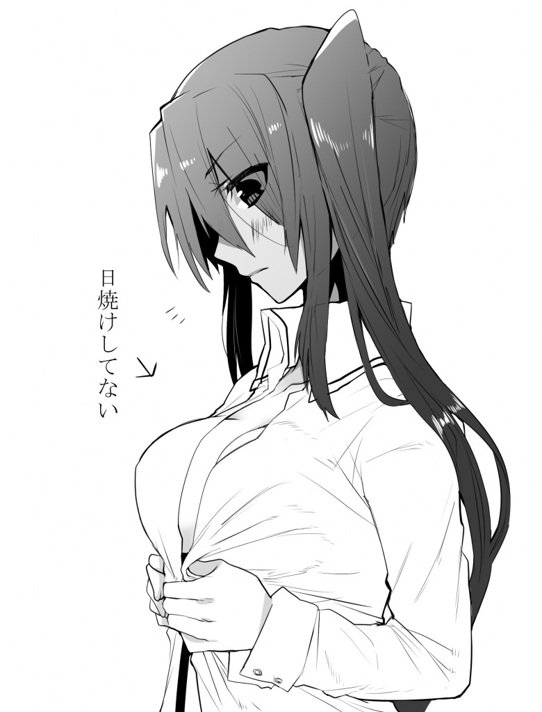 1girl, kantai_collection, long_hair, monochrome, nachi_(kantai_collection), nagisa_moa, ponytail, side_ponytail