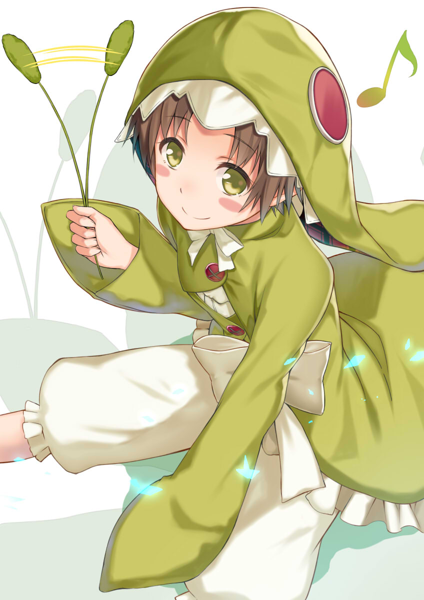 1girl, brown_hair, cccpo, chamo_rosso, green_eyes, highres, hood, rokka_no_yuusha
