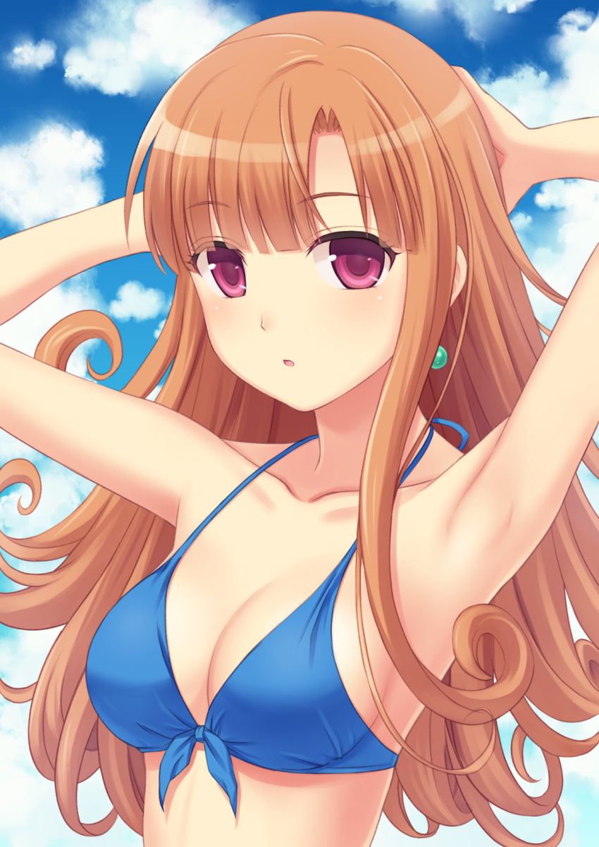 1girl, alena_(dq4), bikini, brown_hair, dragon_quest, dragon_quest_iv, highres, long_hair