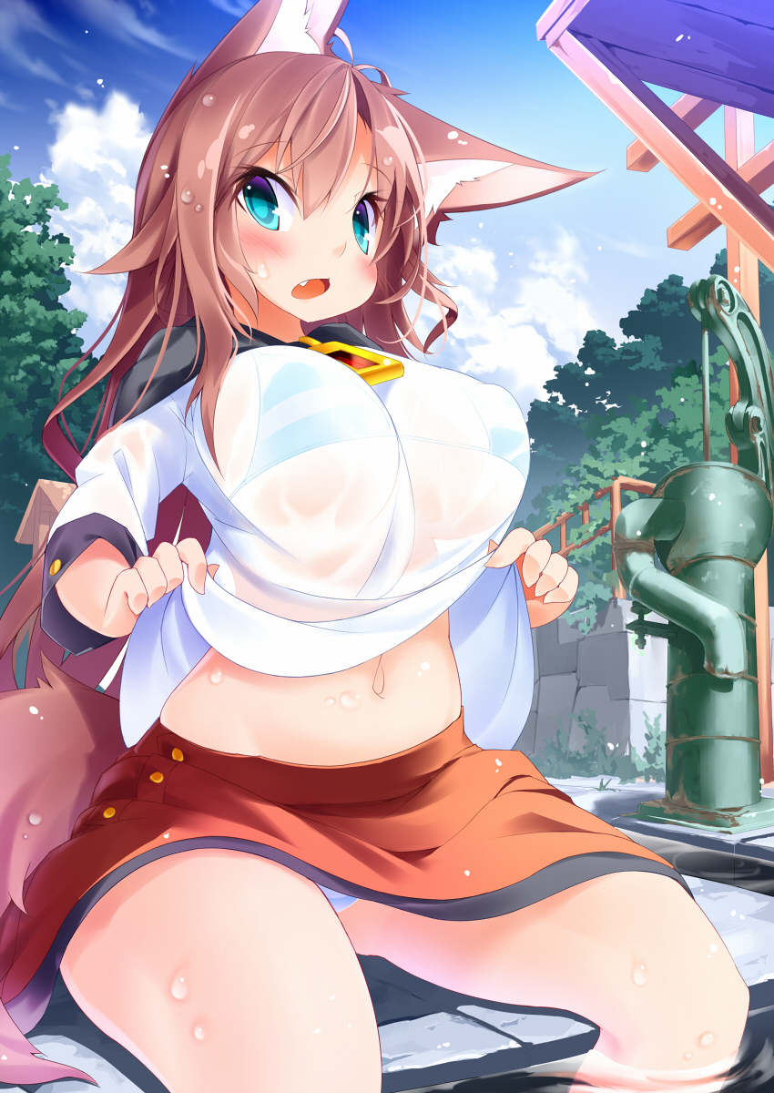 1girl, animal_ears, blue_eyes, blush, bra, breasts, brown_hair, clouds