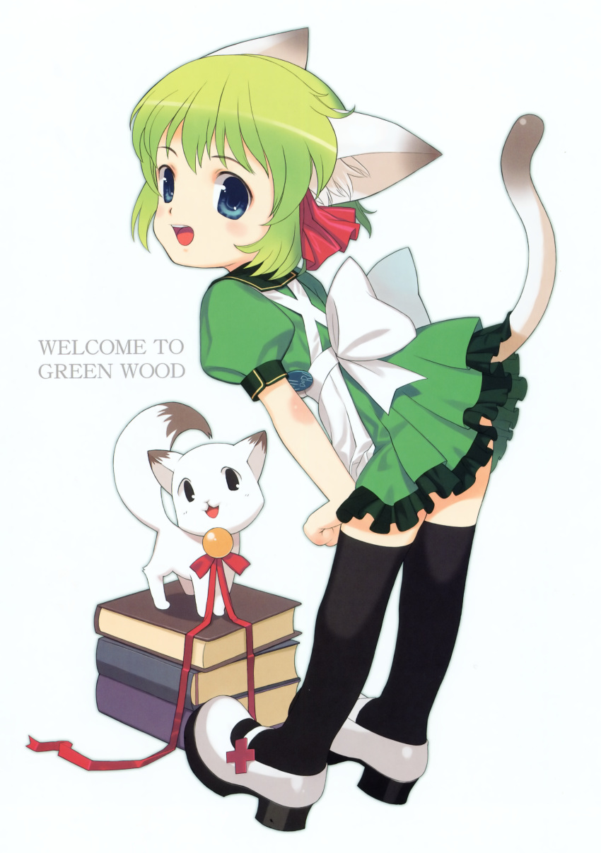 animal_ears, apron, bell, black_legwear, blue_eyes, book, cat, cat_ears