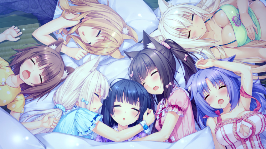 6+girls, animal_ears, azuki_(sayori), black_hair, blonde_hair, breasts, brown_hair, cat_ears