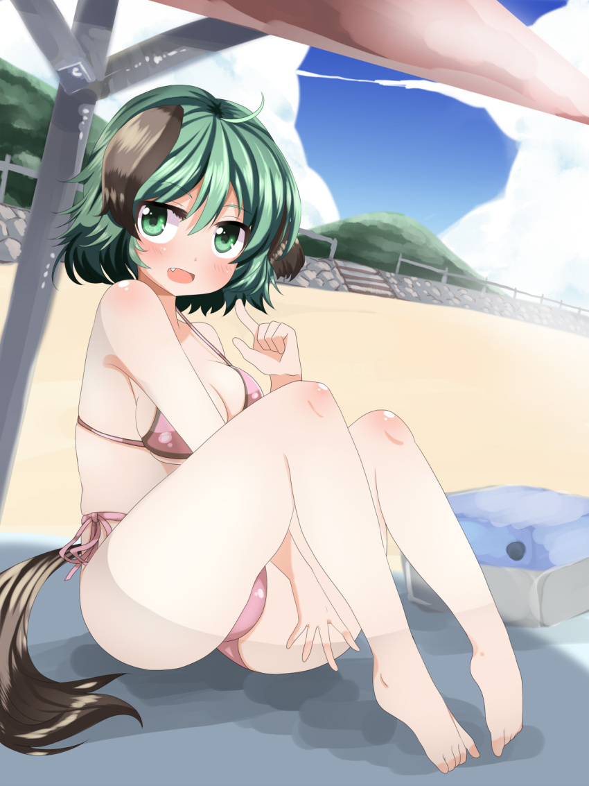1girl, ahoge, animal_ears, bare_shoulders, beach, beach_umbrella, bikini, blush
