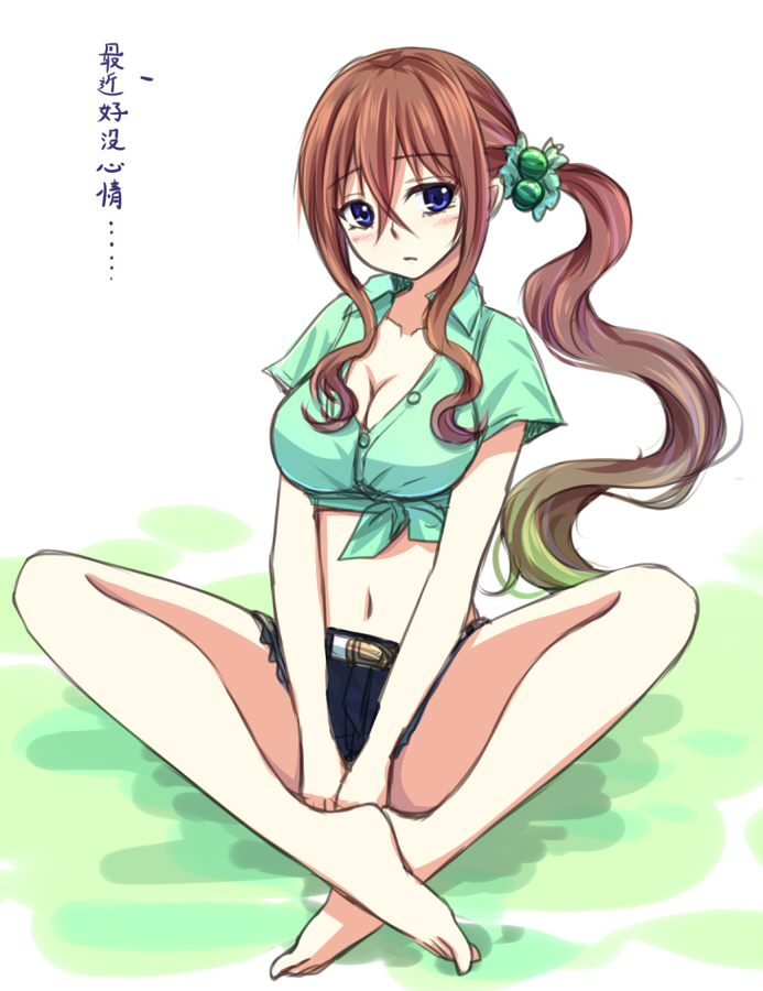 1girl, blue_eyes, blush, brown_hair, chinese, denim, denim_shorts, long_hair