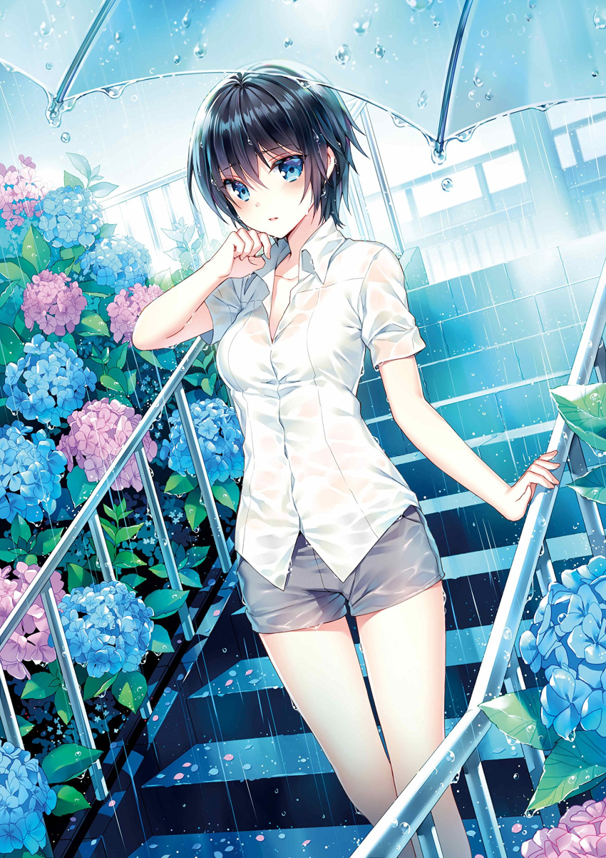 1girl, absurdres, bangs, bare_legs, black_hair, blue_eyes, blush, bush
