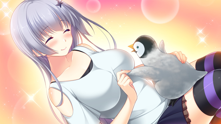 1girl, ^_^, ane_yome_concerto, ayase_hazuki, baby_penguin, bird, blush, breasts, closed_eyes, dutch_angle, game_cg, hair_ornament, hairpin, hime_cut, large_breasts, long_hair, penguin, silver_hair, skirt, smile, solo, sparkle, striped, striped_legwear, sylvie_yaburonya_hidaka, thigh-highs, zettai_ryouiki