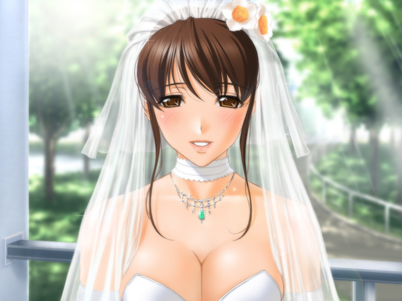breasts, bridal_veil, bride, brown_eyes, brown_hair, cleavage, dress, elbow_gloves