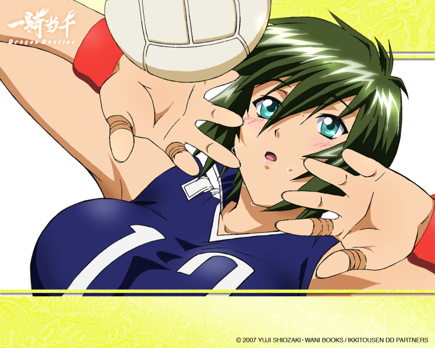 bandage, blush, green_hair, ikkitousen, ikkitousen_dragon_destiny, kyocho_chuukou, short_hair, volleyball