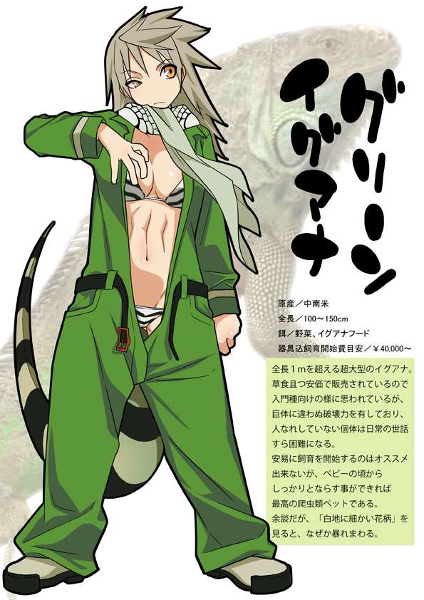 1girl, character_profile, full_body, gujira, iguana, lizard, personification, solo