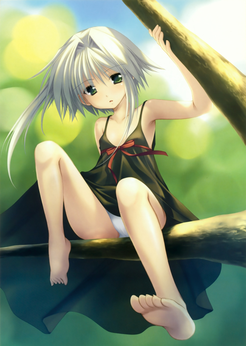 azuma_yuki, barefoot, dress, feet, flat_chest, green_eyes, highres, in_tree