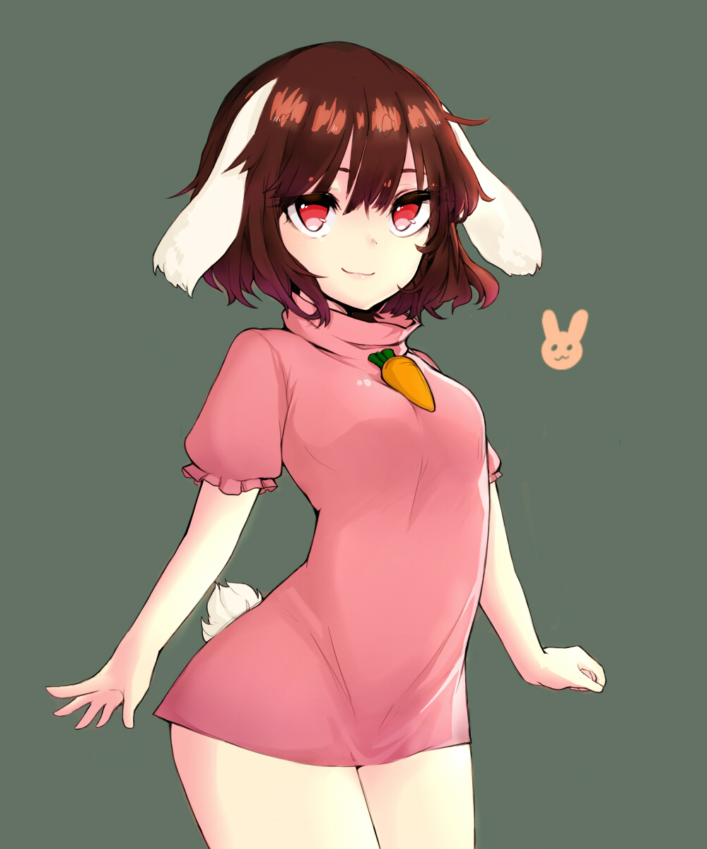 1girl, animal_ears, arms_at_sides, brown_hair, bunny_tail, dress, highres, inaba_tewi