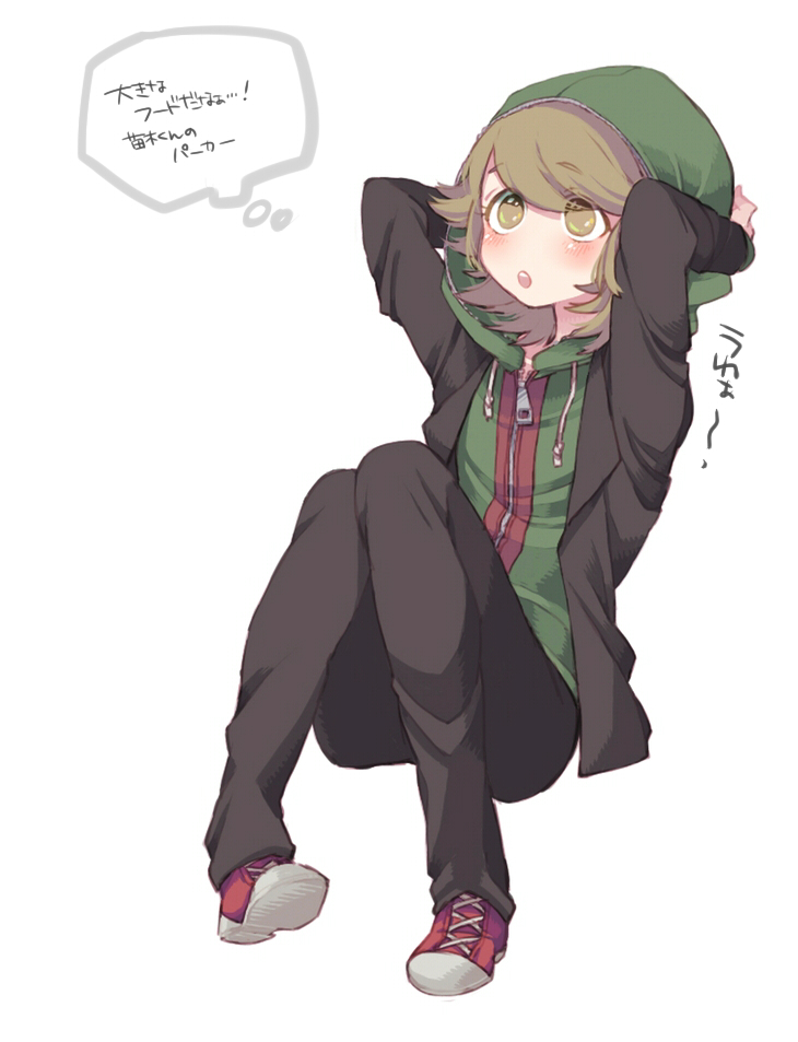 1boy, artist_request, brown_eyes, brown_hair, dangan_ronpa, dangan_ronpa_1, fujisaki_chihiro, hoodie