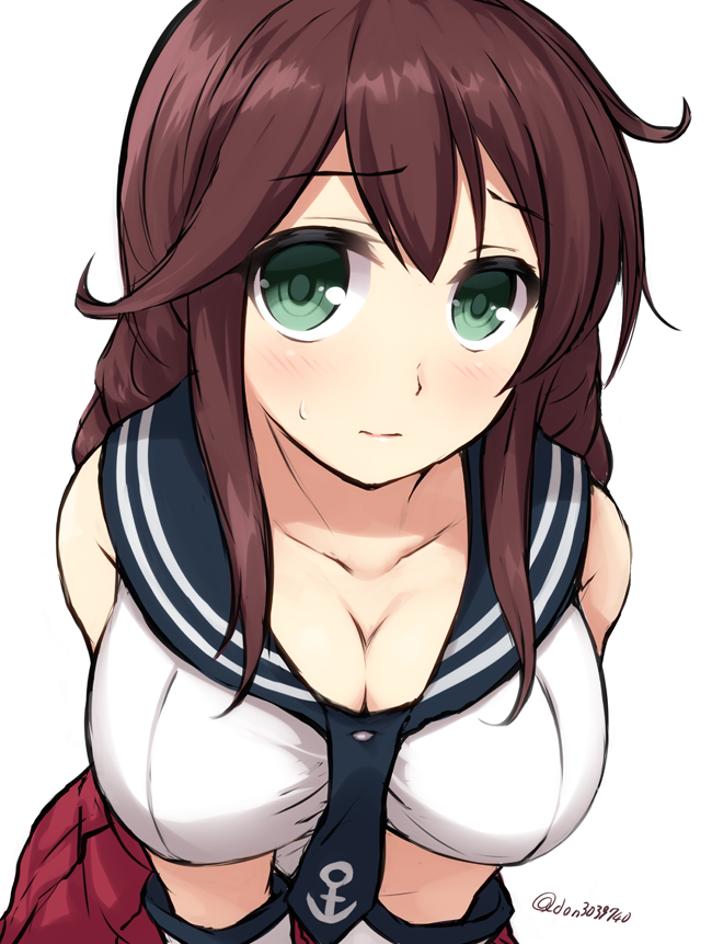 1girl, bangs, belt, blouse, blush, braid, breasts, brown_hair
