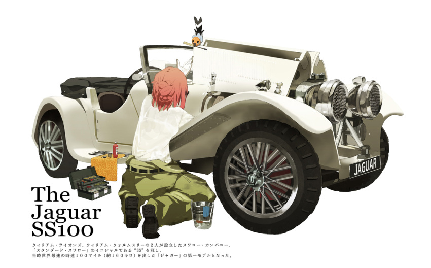 1girl, baggy_pants, bra, bucket, car, clothes_around_waist, fletchling, from_behind