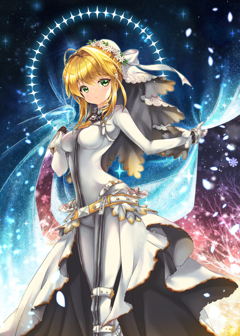 1girl, ahoge, alternate_costume, bangs, bare_tree, belt, between_breasts, blonde_hair, bodysuit, bun_cover, closed_mouth, curtains, eyebrows, eyebrows_visible_through_hair, fate/extra, fate_(series), flower, gloves, green_eyes, hair_bun, hair_flower, hair_intakes, hair_ornament, hair_ribbon, halo, jian_(sezuru), lace_trim, leaf, looking_at_viewer, night, night_sky, petals, ribbon, saber_bride, saber_extra, sky, solo, sparkle, standing, star_(sky), starry_sky, starry_sky_print, tree, veil, waist_cape, white_flower, white_gloves, white_ribbon, zipper