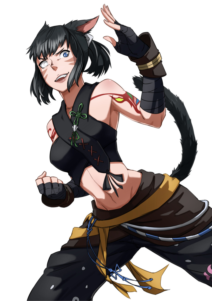 1girl, animal_ears, black_hair, cat_ears, cat_tail, facial_mark, final_fantasy, final_fantasy_xiv