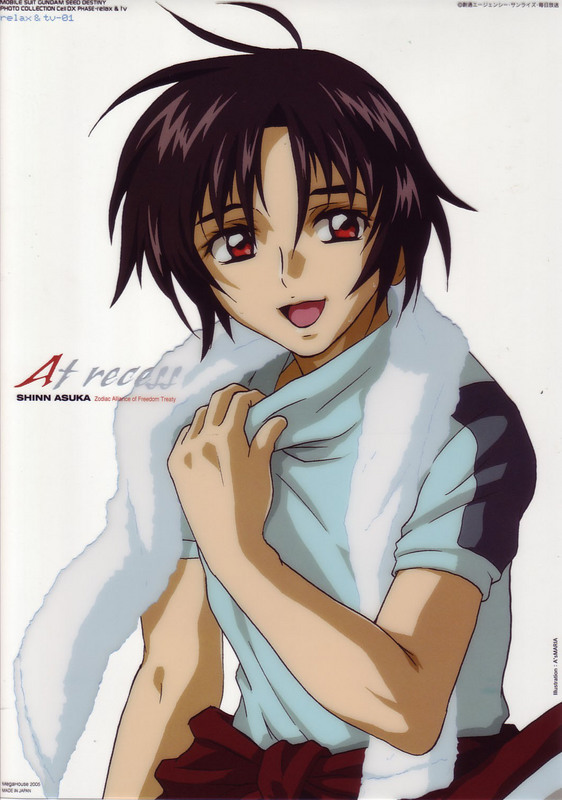 gundam, gundam_seed, gundam_seed_destiny, raven_hair, red_eyes, shinn_asuka, t-shirt, towel